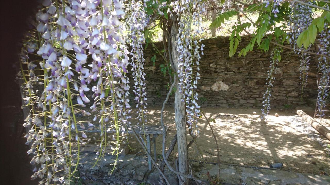 Le Mercou en Cévennes Saint-Martin-de-Boubaux Esterno foto