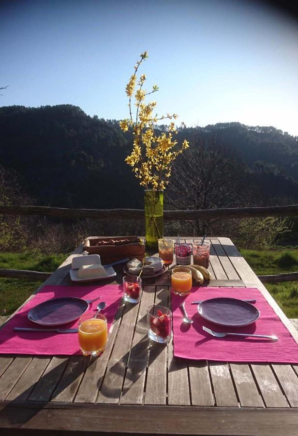 Le Mercou en Cévennes Saint-Martin-de-Boubaux Esterno foto
